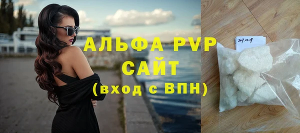 прущие грибы Вязьма
