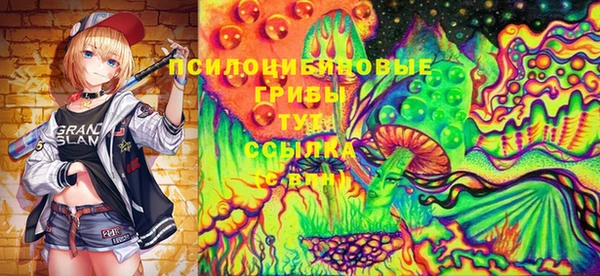 ешки Володарск
