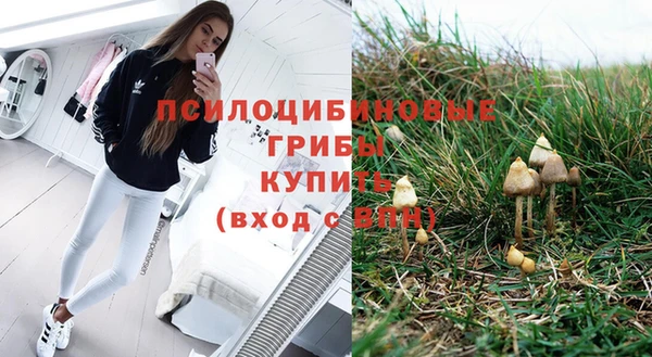 ешки Володарск