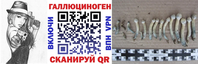 Галлюциногенные грибы прущие грибы Нея