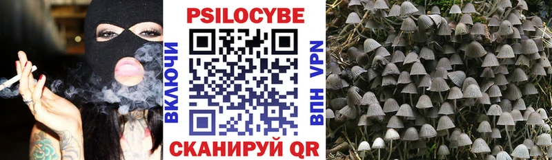 купить Нея даркнет наркотические препараты Псилоцибиновые грибы Cubensis